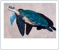 sea turtle painted frond